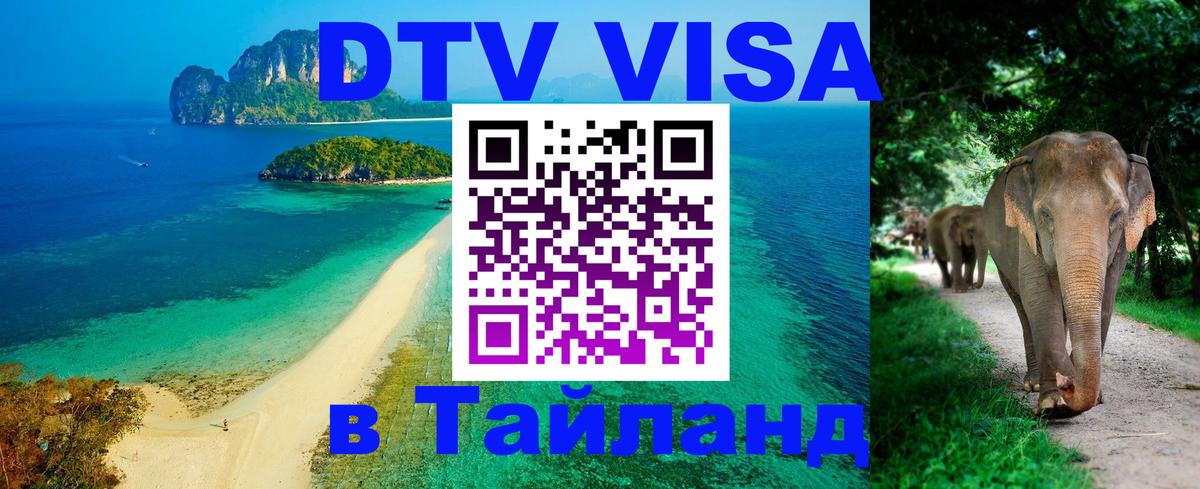 Visa ДТВ Тайланд помощь Веллингтон 